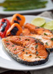 Fillet of salmon with mixed vegetables on a plate.