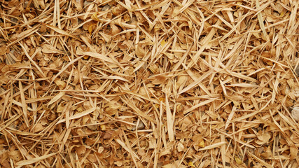 dried brown leaf autumn leaves background