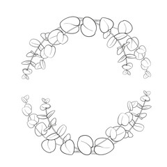 Silhouette frame with eucalyptus branches. Line art style with transparent background.