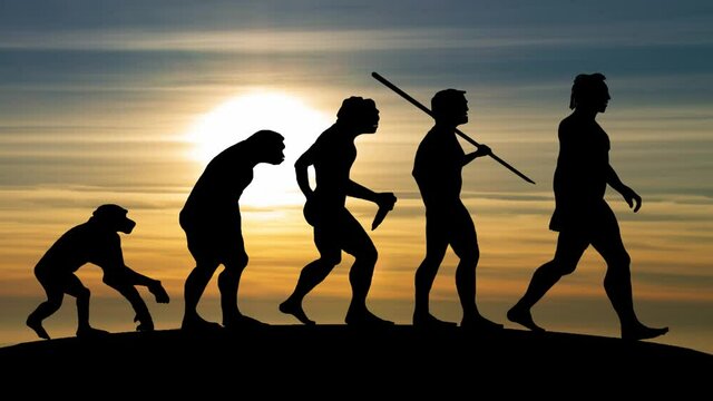 Human development from Monkey to Man with Sunset in Background