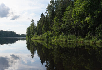 A forest lake surrounded by a forest with water reflecting trees and clouds. Horizontal photo. Scenery.