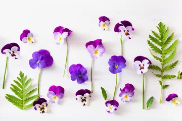 Muurstickers beautiful pansy violet summer flowers flatlay on white © Olga Miltsova