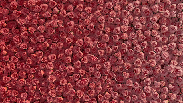 Beautiful, Elegant Flower Blooms arranged in the shape of a wall. Vibrant, Colorful, Roses composed to create a Red floral background. 3D Render