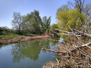 Landscape of the Henares riverside during spring time in Azuqueca. Guadalajara. Spain. 