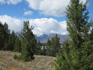 Fototapeta na wymiar Mountain Peaks Yellowstone National Park