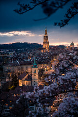 skyline of Berne during Cherry blossom at blue hour in spring