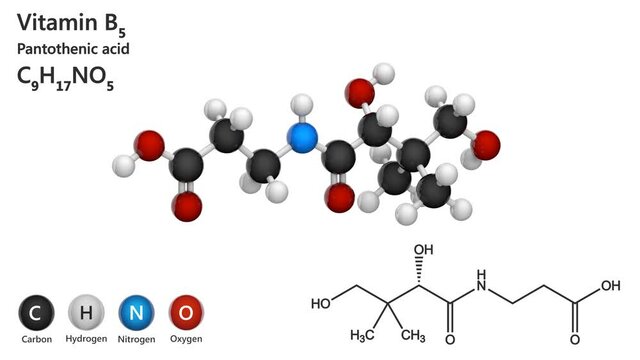 Molecular structure of Vitamin B5(Pantothenic acid). Also known as pantothenate. 3D render. Seamless loop. Chemical structure model: Ball and Stick. White background.