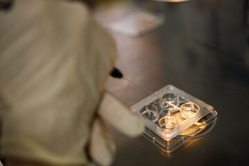 doctor in the laboratory