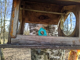 very small green birdhouse inside a normal birdhouse in the forest