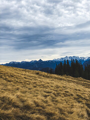 Different Natures 