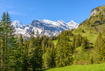 The Swiss Alps at Murren, Switzerland. Jungfrau Region. The valley of Lauterbrunnen from Interlaken.