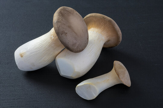 tasty king oyster mushroom on black background