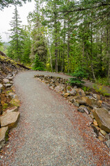 Fragment of Nita Lake Trail in Whistler, Vancouver, Canada.