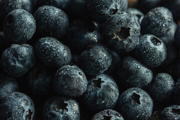 Blueberries with water drops. Healthy eating. Berry background. Health and freshness concept. Blueberry close-up.