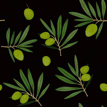 Watercolor seamless pattern of olive branches and leaves. Illustration on black background.