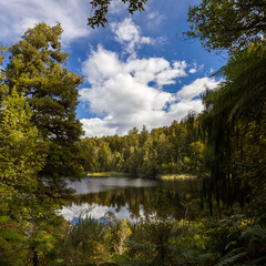 Obraz premium Scenic view of Lake Matheson in New Zealand in summertime
