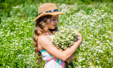 Countryside idyll. Little child pick flowers on chamomile field. Floral shop. Holiday celebration....