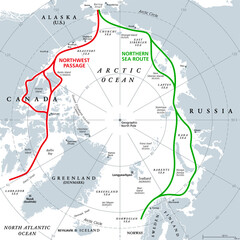 Arctic Ocean sea routes, gray political map. Arctic shipping routes. Northwest Passage and Northern Sea Route. Maritime paths, used by vessels to navigate through the Arctic. Illustration. Vector.