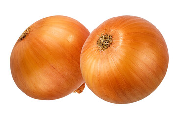 Fresh onion isolated on white background  with clipping path