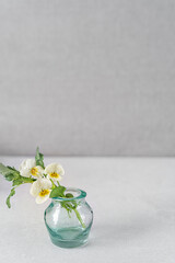 Wild flowers in glass vase on white background.Rustic photography.Still life.Copy spase..
