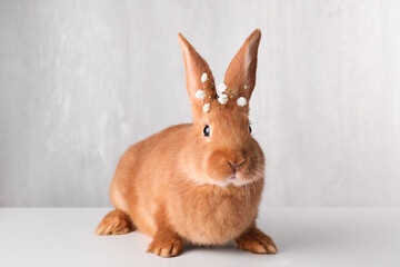 Adorable bunny with gypsophila flowers on white table against light background