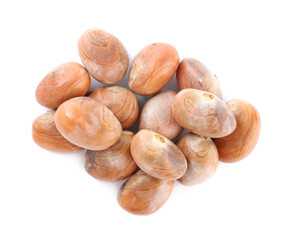 Fresh raw jackfruit seeds on white background, top view
