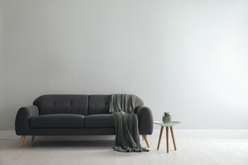 Stylish living room interior with comfortable grey sofa and beautiful plant