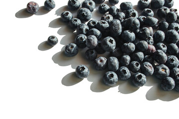 Blueberry with mint leaf isolated on white background. Place for text, advertisement, postcard.