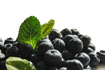Blueberry with mint leaf isolated on white background. Place for text, advertisement, postcard.