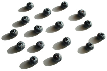 Blueberry isolated on a white background. Place for text, advertisement, postcard. Patern.