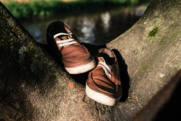 Old shows abandoned on a tree trunk by a river