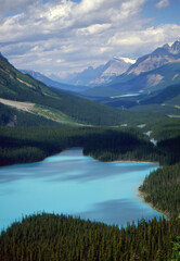 Naklejka na ściany i meble Lake Peyto, near Banff, Alberta, Canada