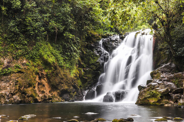 waterfall in the forest