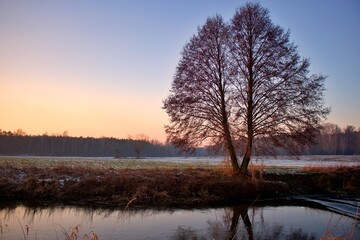 Zachód słońca zimą w dolinie rzeki Prosny