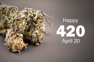Happy 420 holiday with dried marijuana buds stock images. Dried marijuana buds with number 420 stock photo. Dried hemp leaves on a dark background images. Holiday 420 Poster, April 20. Important day