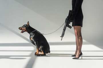cropped view of elegant woman with rifle near doberman on chain leash on grey background with...