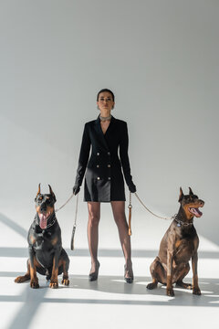 Doberman Dogs Near A Confident Woman In Black Blazer Dress On Grey Background With Shadows