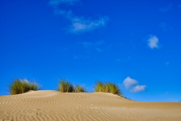 Fototapeta na wymiar Dunes with vegetation under blue sky