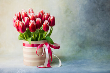Bouquet of red-white tulips in a round striped gift box with a pink ribbon in the studio. Light yellow blue backdrop. Place for text