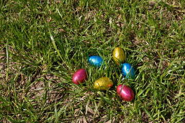 Colorful chocolate eggs on green grass