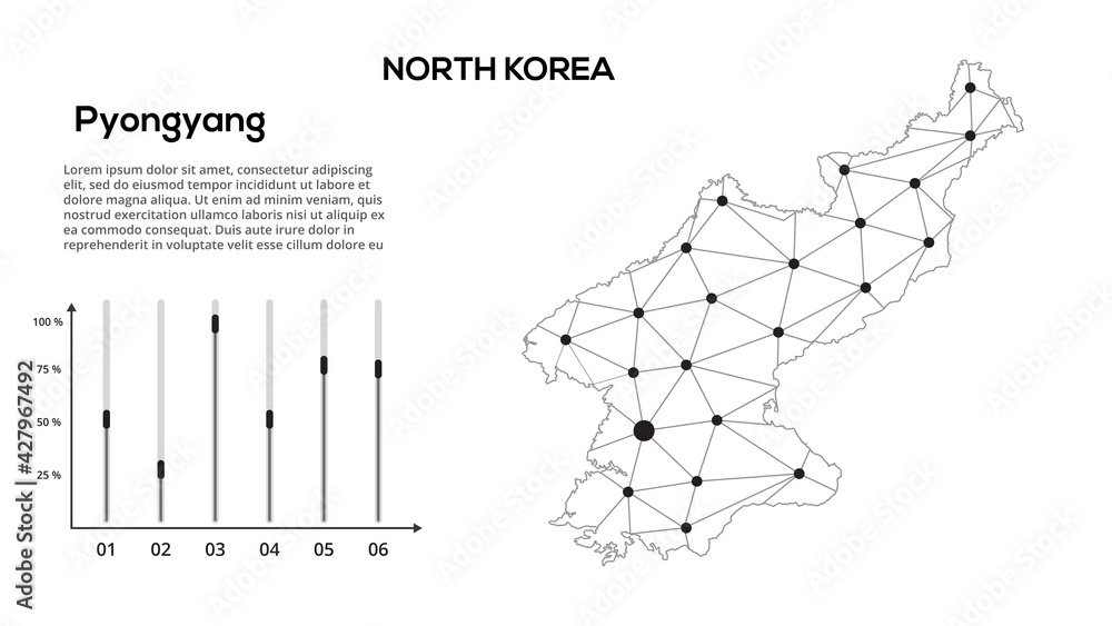 Poster north korea communication network map. vector image of a low poly global map with city lights. map i
