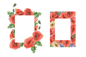 Watercolor hand drawn poppies and herbs rectangular frames. Perfect for invitation and social media.
