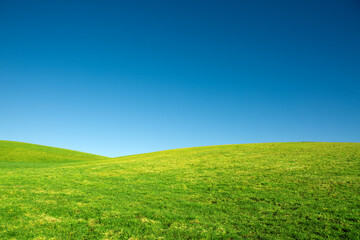 Spring landscape background with blue sky and green grass field.