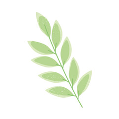 green leaves foliage