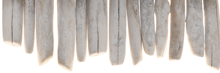 Driftwood banner. row of  sea snags set isolated on white background.Marine nature  background. Marine gray driftwood set.Decor in a nautical style. sea driftwood banner - obrazy, fototapety, plakaty
