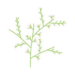 green decorative foliage