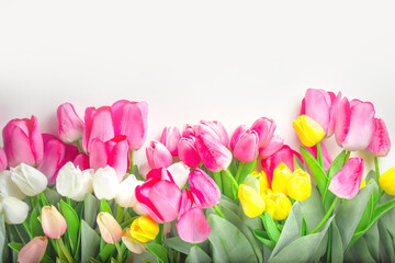 Spring tulip flowers background