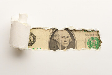 Pequeño cartel en papel rasgado, textura dollar
