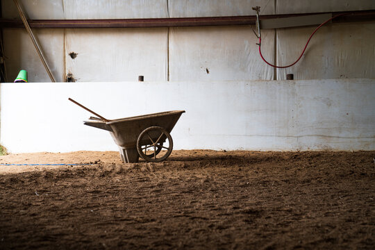 manure wheelbarrel in riding stable