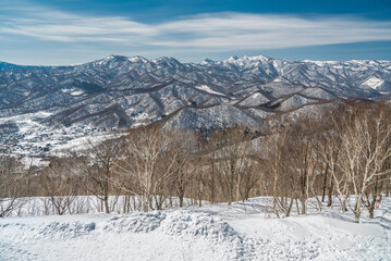 Winter landscape in the snowy tree lined mountains of Sapporo, Hokkaido, Japan